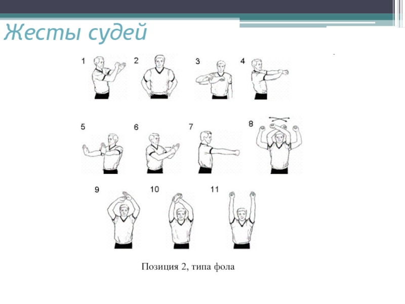 Жесты судьи в дзюдо в картинках с описанием