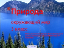 Живая и неживая природа