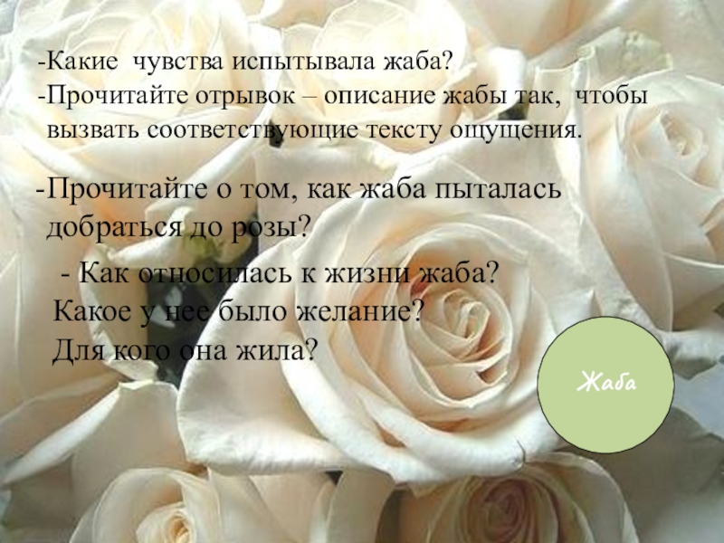 План о жабе и розе 4. Вопросы по сказке о жабе и Розе. План о жабе и Розе. Сказка о жабе и Розе план. План сказки жаба и роща.