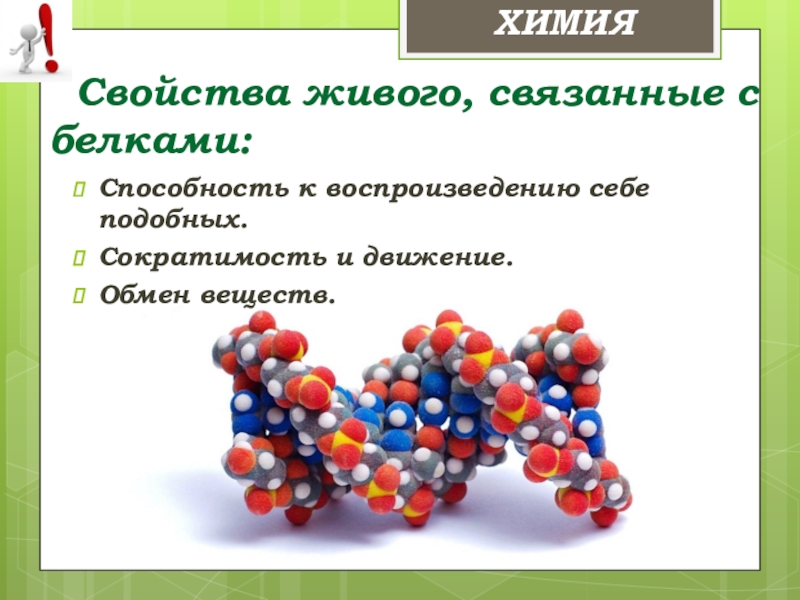 Аминокислоты белки химия 10 класс презентация. Белки химия презентация. Белки химические свойства. Белки аминокислоты. Аминокислоты белки химические свойства.