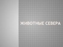 Презентация по теме недели Животные севера