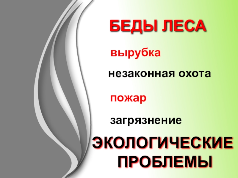 Берегите лес 2 класс планета знаний презентация