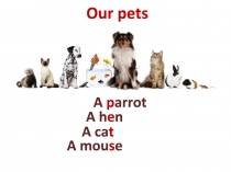 Презентация по английскому языку на тему Наши питомцы (2 класс)