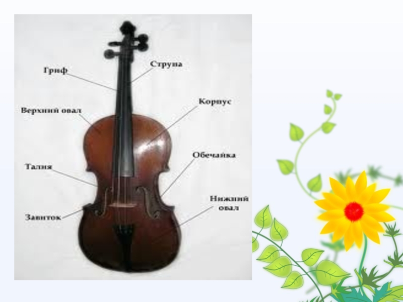 Скрипка урок музыки 3 класс. Строение скрипки. Слайд с о скрипкой. Скрипка для презентации. Название частей скрипки.
