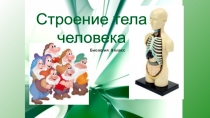 ПРЕЗЕНТАЦИЯ Строение тела человека 9 класс