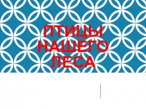 Презентация Птицы 2 класс