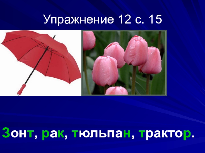 Слоги слова зонт. Зонт звуки. Схема слова зонт. Схема слов зонт и зонты. Анализ слова зонт.