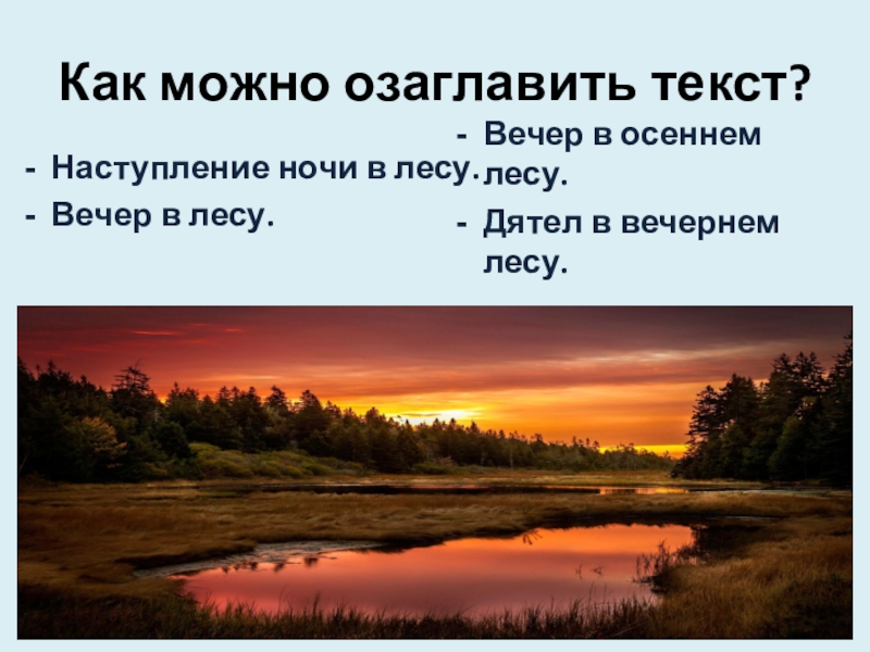 Текст рассказа вечером. Вечер в лесу текст. Изложение вечер в лесу. Как можно озаглавить. Как можно озаглавить текст про лес.