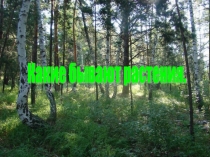 ПРЕЗЕНТАЦИЯ ДЛЯ УРОКА ОКРУЖАЮЩИЙ МИР ВИДЫ РАСТЕНИЙ (1 КЛАСС)