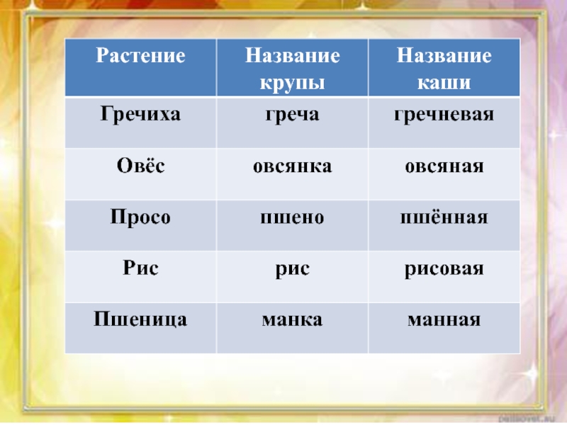 Бункер на полу называют каша