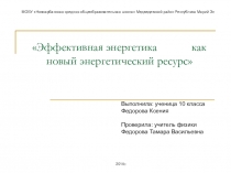 Презентация по физике на тему Эффективная энергетика как новый энергетический ресурс (исследовательская работа учащихся)