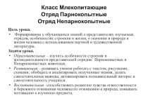 Презентация Сравнительная характеристика парнокопытных и непарнокопытных