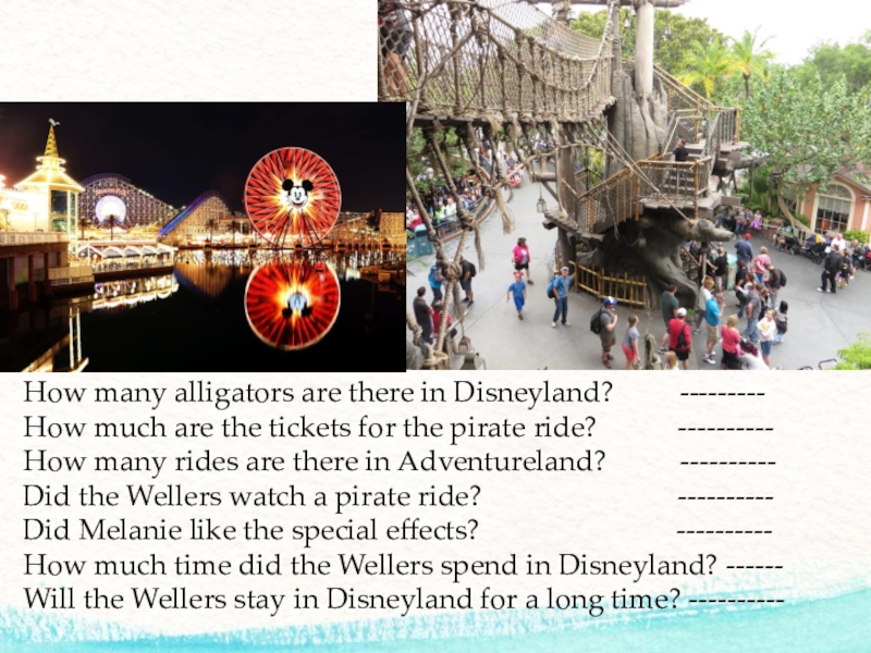 How many alligators are there in Disneyland?     ---------How much are the tickets for