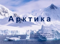 Презентация для внеклассного мероприятия по географии по теме: Арктика