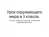 Презентация по окружающему миру Разнообразие растений