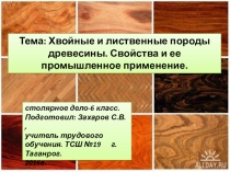 Хвойные и лиственные породы древесины. Свойства и ее промышленное применение. (6 класс)