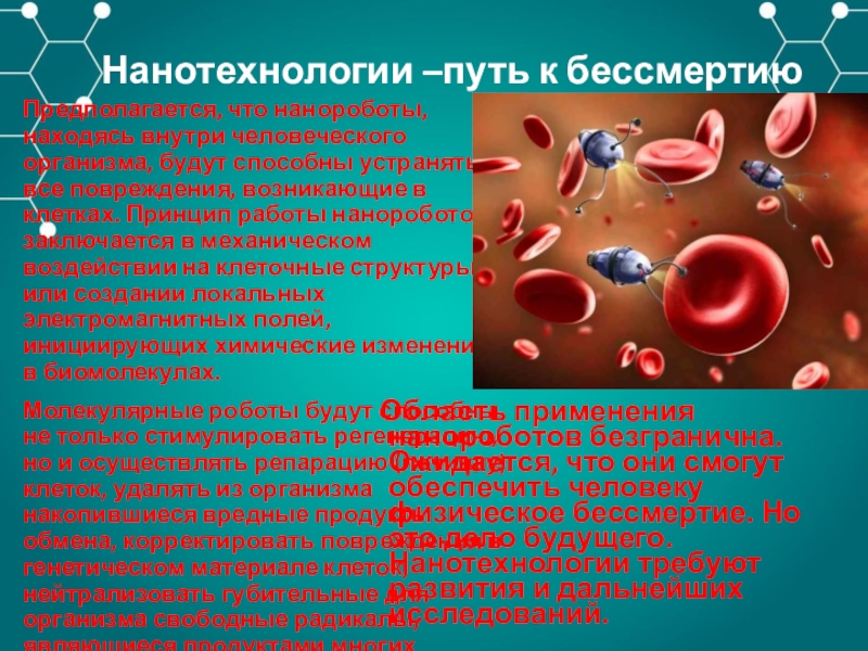 Проект старение человека и возможность бессмертия