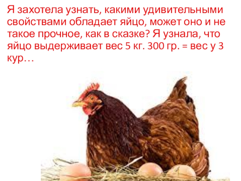 Сколько выдерживает яйцо. Исследование прочности яйца. А прочно ли куриное яйцо. Вес одного яйца куриного с1. Сколько выдерживает яйцо.