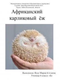 Презентация к исследовательской работе  Карликовый ёж