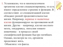 Презентация по теме Деление клетки. Митоз