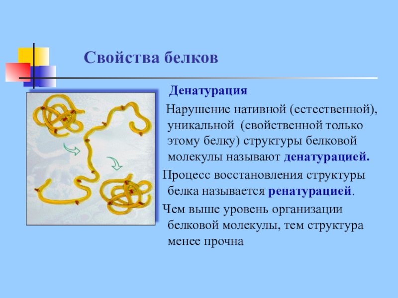 Нарушение состава белков