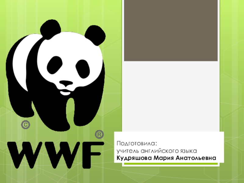 Изображение какого животного является эмблемой всемирного фонда дикой природы евразия