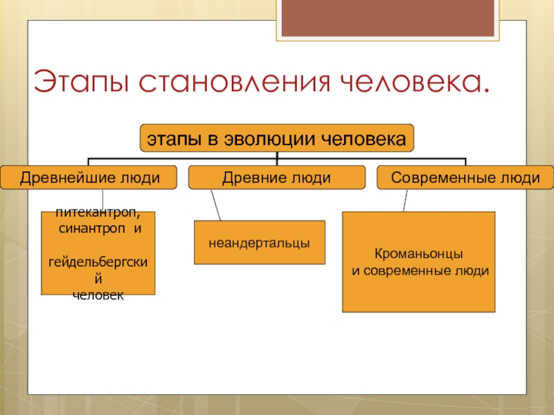 Презентация становление личности 8 класс биология