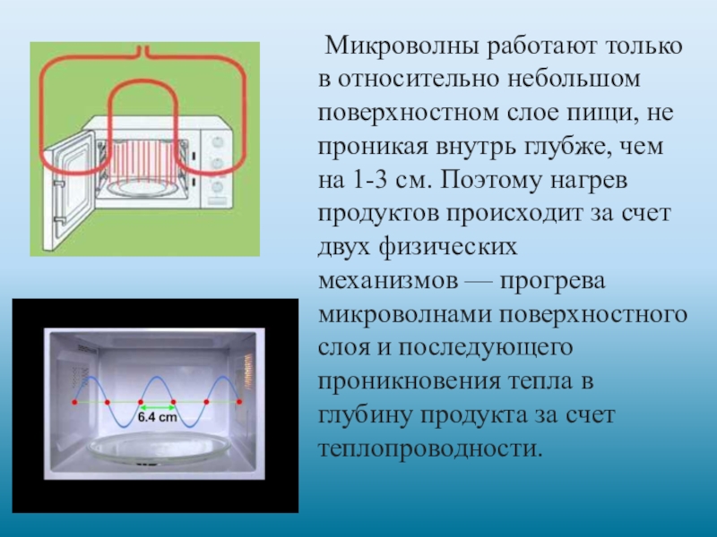 Исследовательский проект еда из микроволновки польза или вред