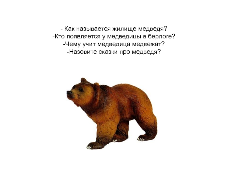 Как назвать медведя. Жилище медведя как называется. Слоган про медведя. Надпись медведь. Предложение про медведя.