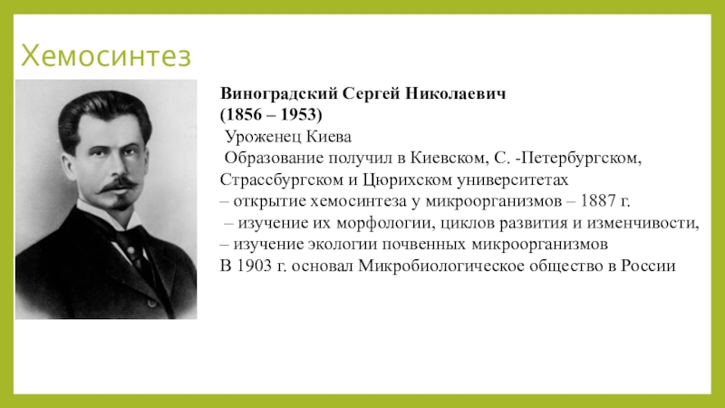 Виноградский л м. Виноградский хемосинтез. Открытие хемосинтеза с.н Виноградским.