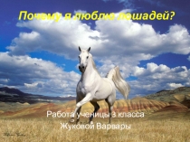 Презентация проекта Почему я люблю лошадей