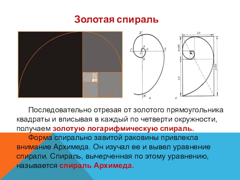 Как нарисовать золотой прямоугольник