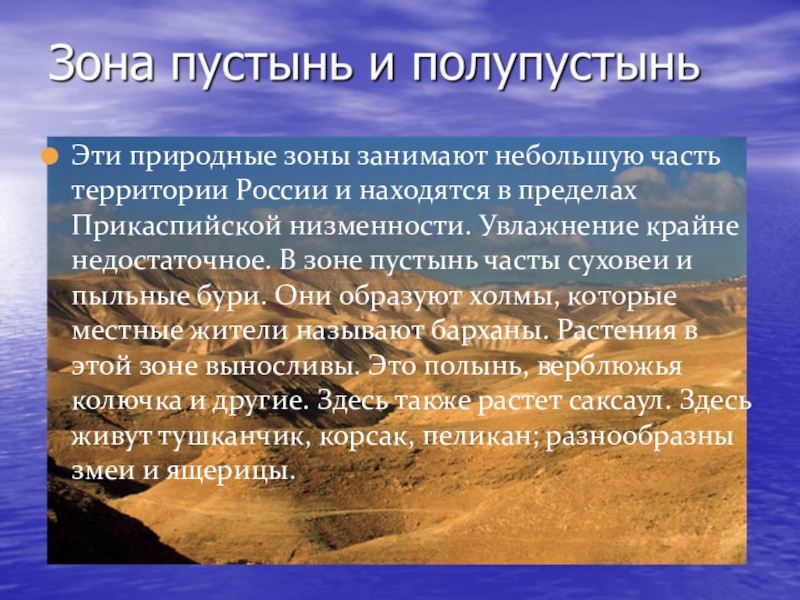 Жаркие природные зоны. Самая жаркая природная зона России. Самая тёплая природная зона в России. Прикаспийская низменность природная зона. Природные ресурсы зоны пустынь в России.