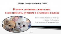 Презентация к исследовательской работе Клички домашних животных в английском, русском и немецком языках