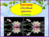 Тренажер к диктанту Особый цветок. 3 класс. 4 четверть.