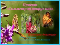 Презентация исследовательского проекта на тему Симметрия вокруг нас