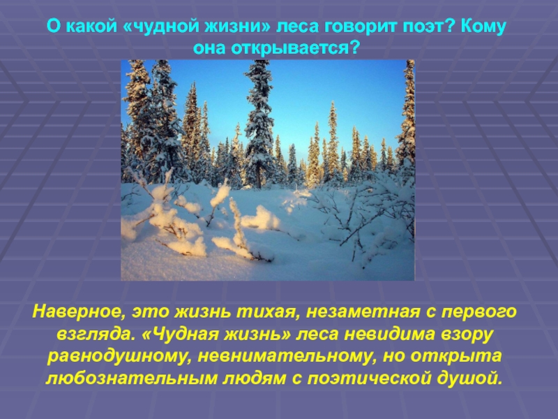 Чародейкою зимою презентация. Вопросы к стихотворению Чародейкою зимою. Презентация к стихотворению Чародейкою зимой. Эпитеты в стихотворении ф Тютчева Чародейкою зимою. Чародейкою зимою 2 класс.