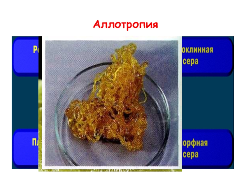 Презентация на тему сера