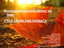 Проект  Листопад с презентацией 1 класс