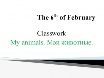 Презентация к уроку английского языка My Animals по учебнику Spotlight 2 (авт. Н.И. Быкова, Д. Дули, М.Д. Поспелова, В. Эванс )