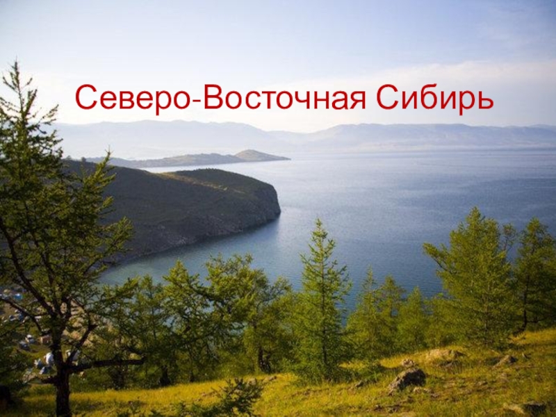 Презентация Презентация по географии на тему Северо-Восток Сибири (8 класс)