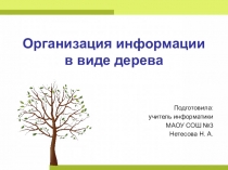 Презентация по информатике на тему Организация информации в виде дерева