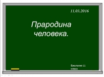 Презентация по биологии 11 класс на тему Прародина человека