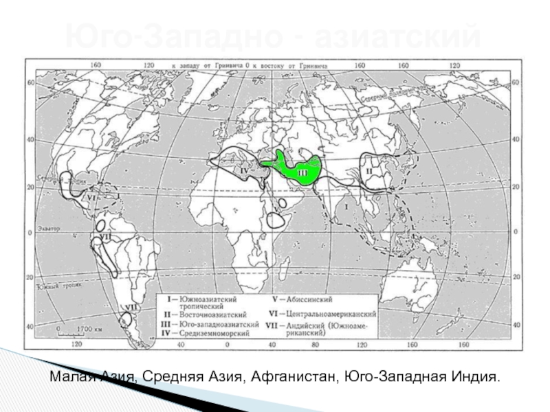 Средиземноморский центр происхождения культурных растений презентация