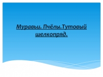 Презентация по биологии на тему  Муравьи, пчелы
