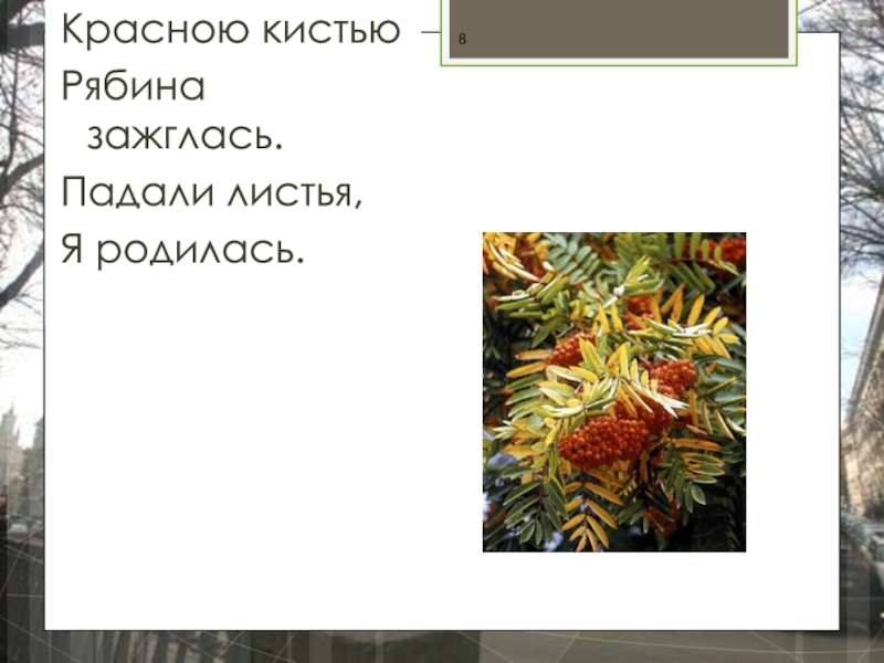 Красною кистью рябина зажглась. Алою кистью рябина зажглась падали листья я родилась. Красною кистью рябина зажглась грамматическая основа в предложении. Читательский дневник красною кистью рябина зажглась. Метафора рябина зажглась что значит 4 класс.