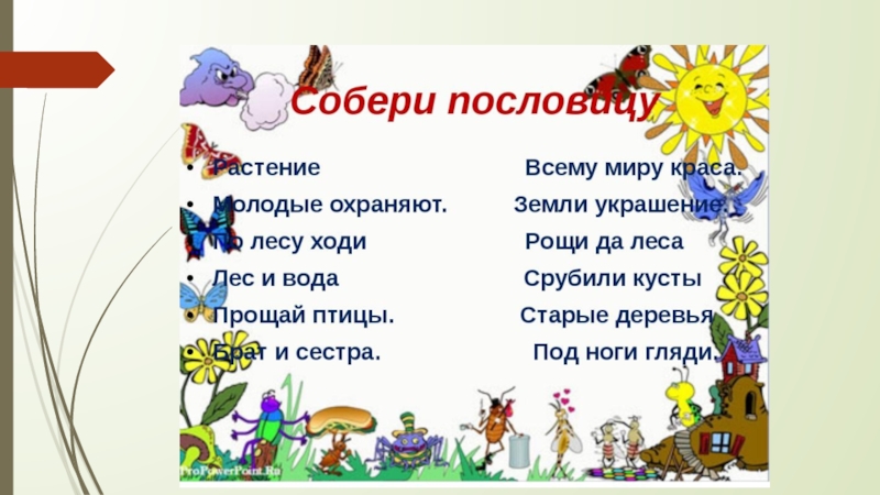 Беречь собрать. Пословицы и поговорки о природе. Поговорки на экологическую тему. Пословицы на тему экологии для детей. Пословицы и поговорки о природе для детей.