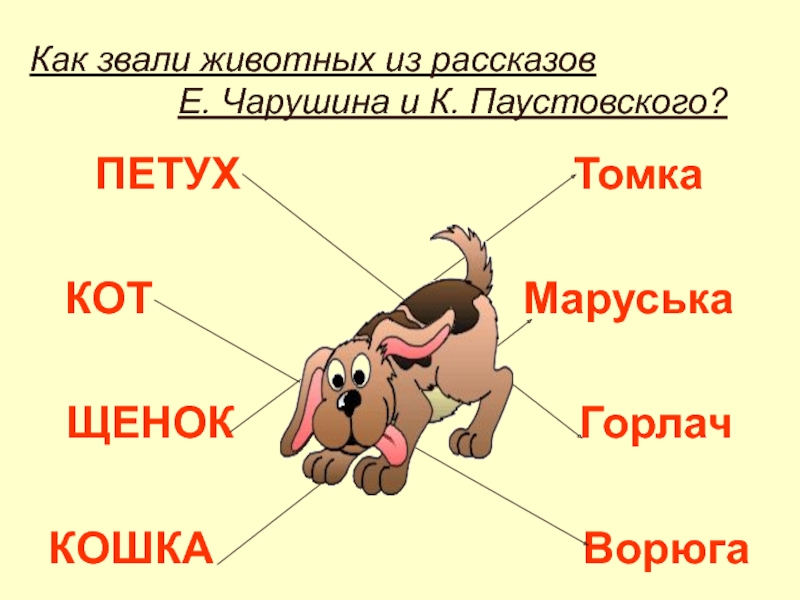 Кот ворюга план рассказа 3 класс