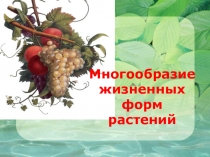 Презентация по биологии на тему Жизненные формы растений (6 класс)
