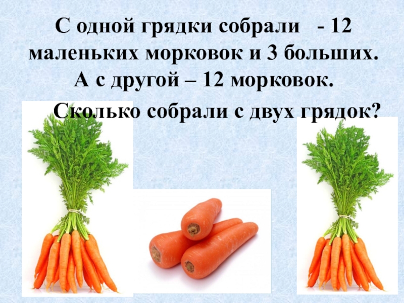 Сколько гр морковь. Задача про морковки. В12 в моркови. Как выглядит 1 кг моркови. Петрушка и морковка на одной грядке.